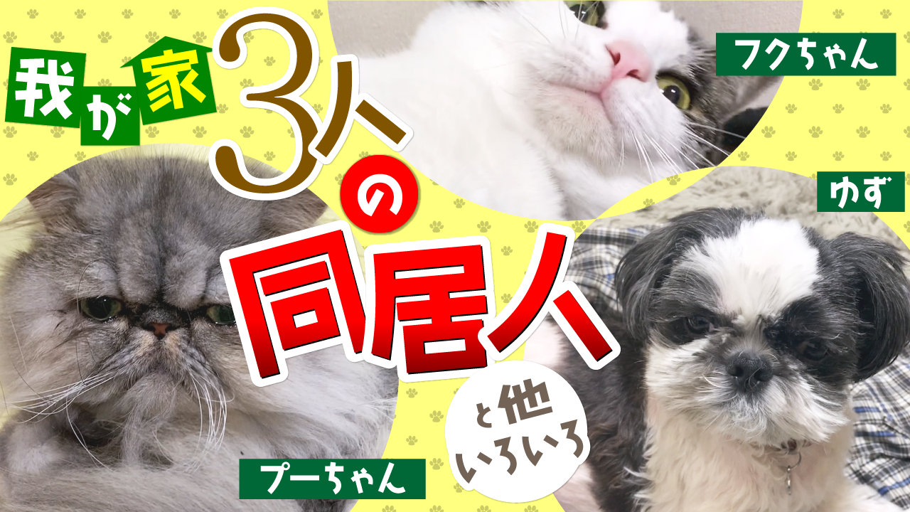 3人の同居人