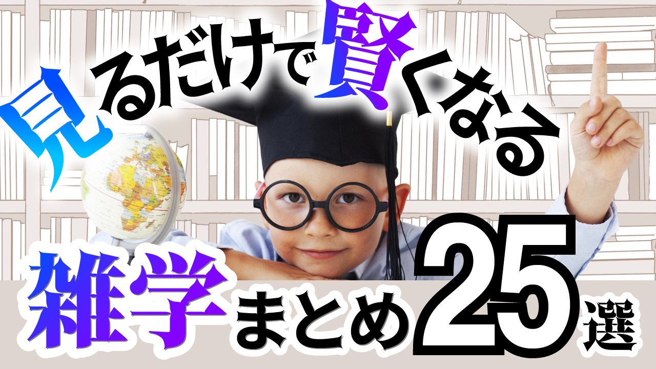 雑学まとめ25選【その1】